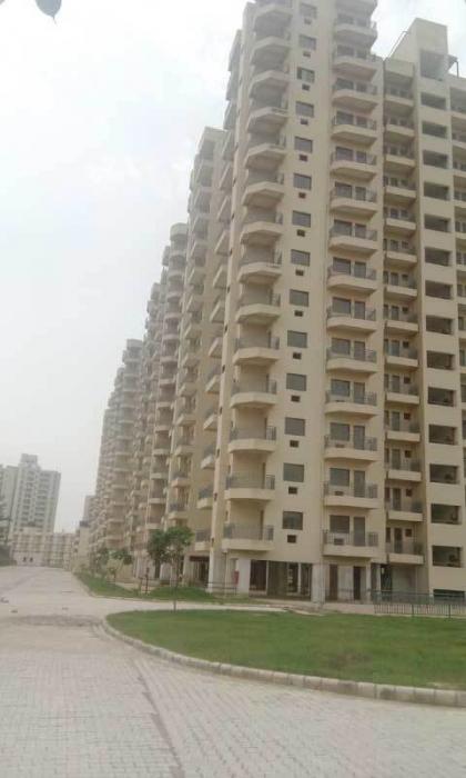 Flat Sale Ardee Palm Grove Heights Ardee City Sector 52 Gurgaon